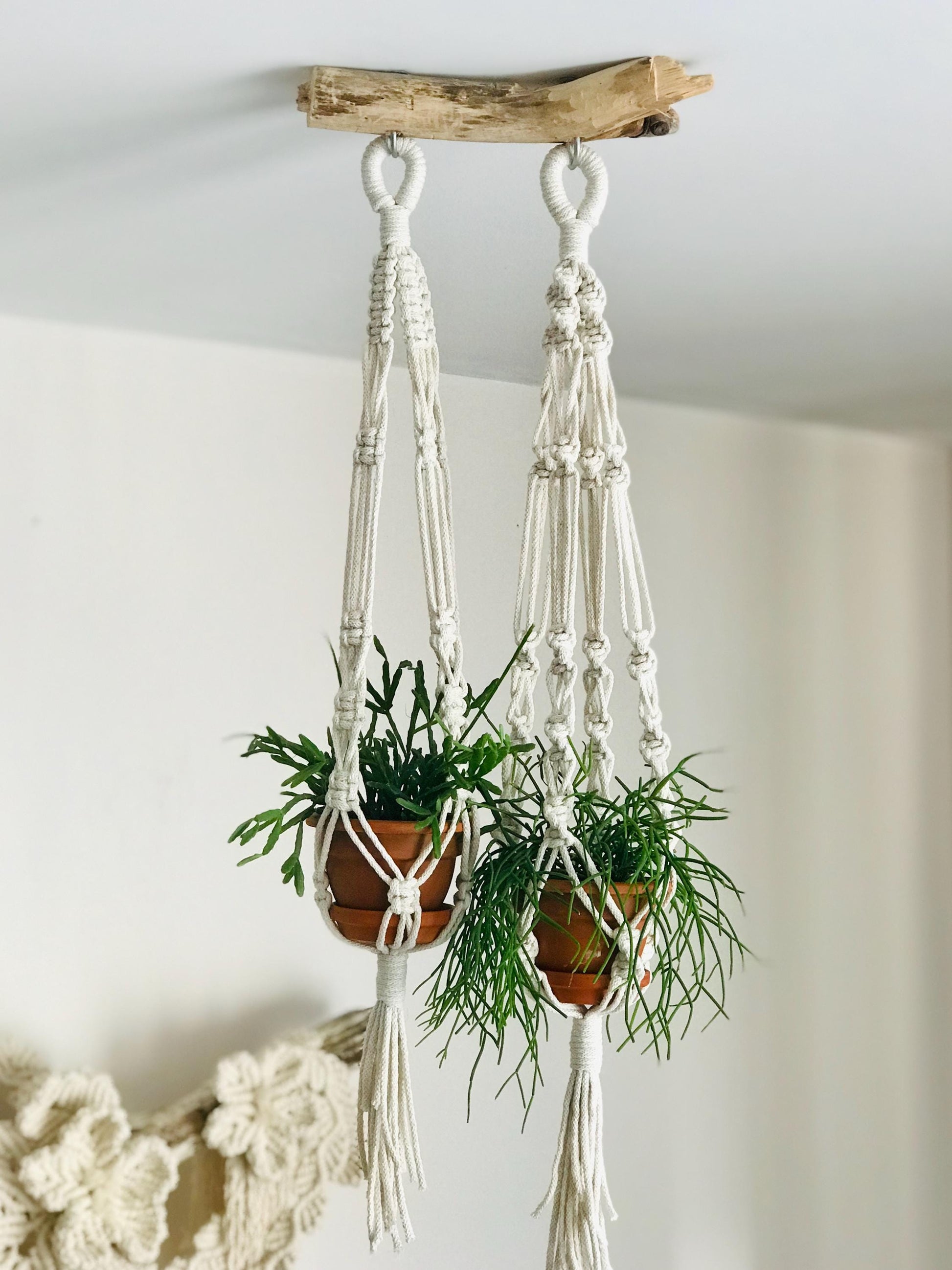 Macrame plant hanger with two potted plants against a white wall.