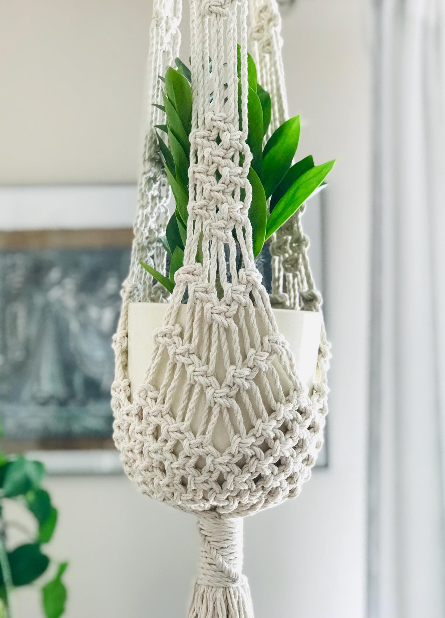 Macrame plant hanger with a plant against a neutral wall.
