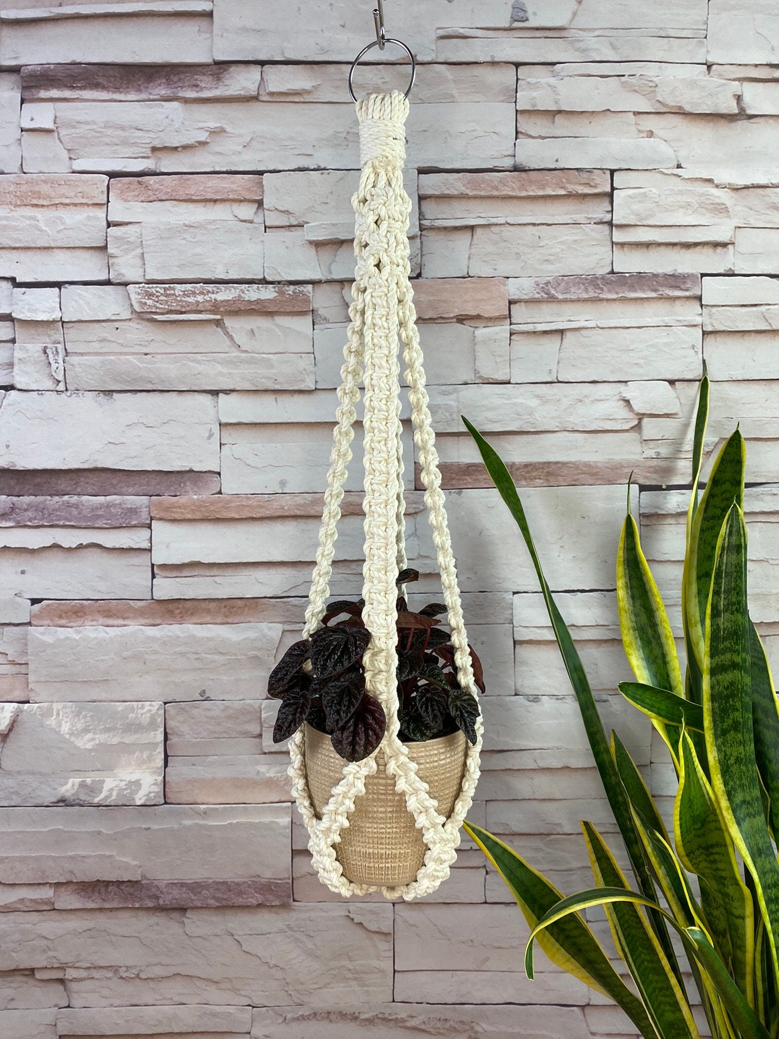 Macrame plant hanger with a plant against a stone wall