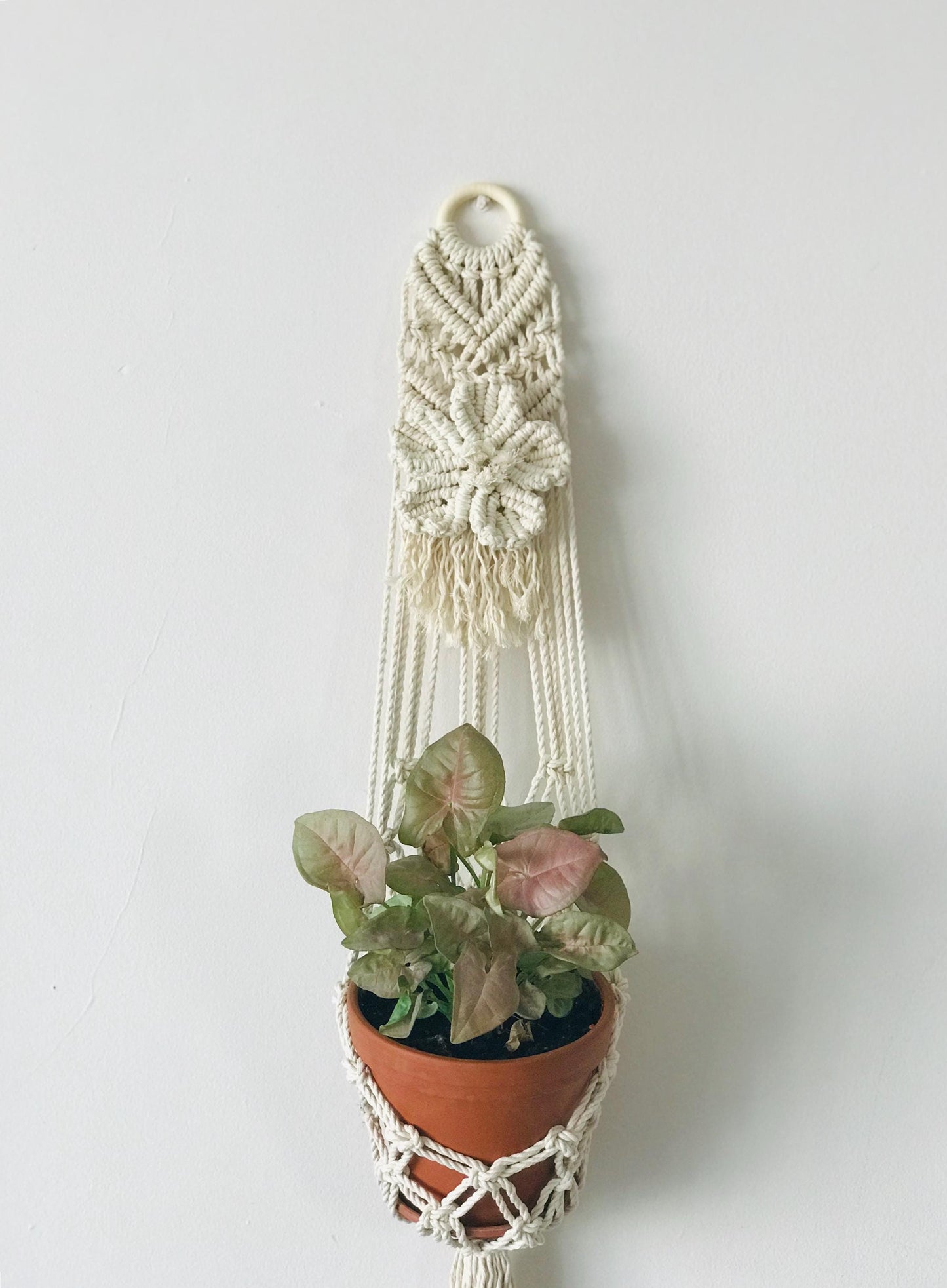 Macrame Plant Hanger with Flower PDF Pattern