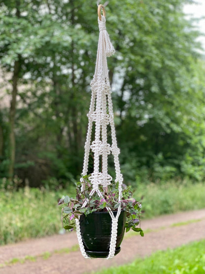 Macrame plant hanger with a pot of plants hanging outdoors.