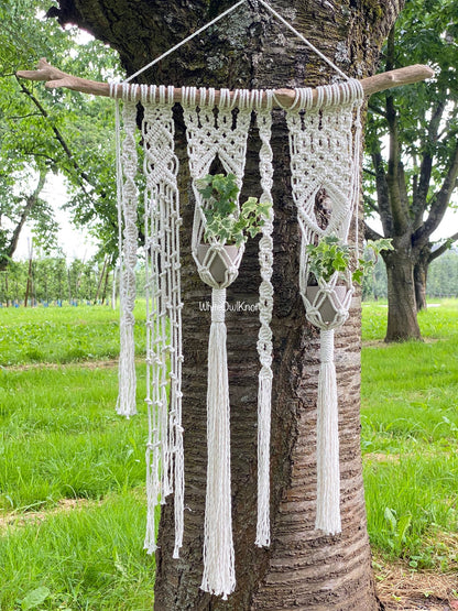 Macrame wall planter on a tree branch with a natural outdoor background