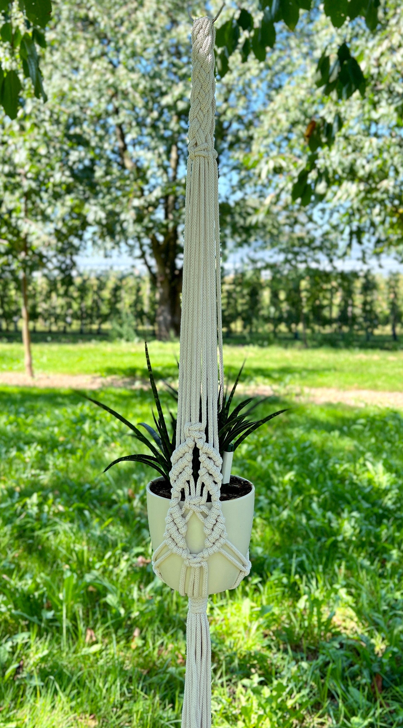 Macrame plant hanger with a plant against a natural background