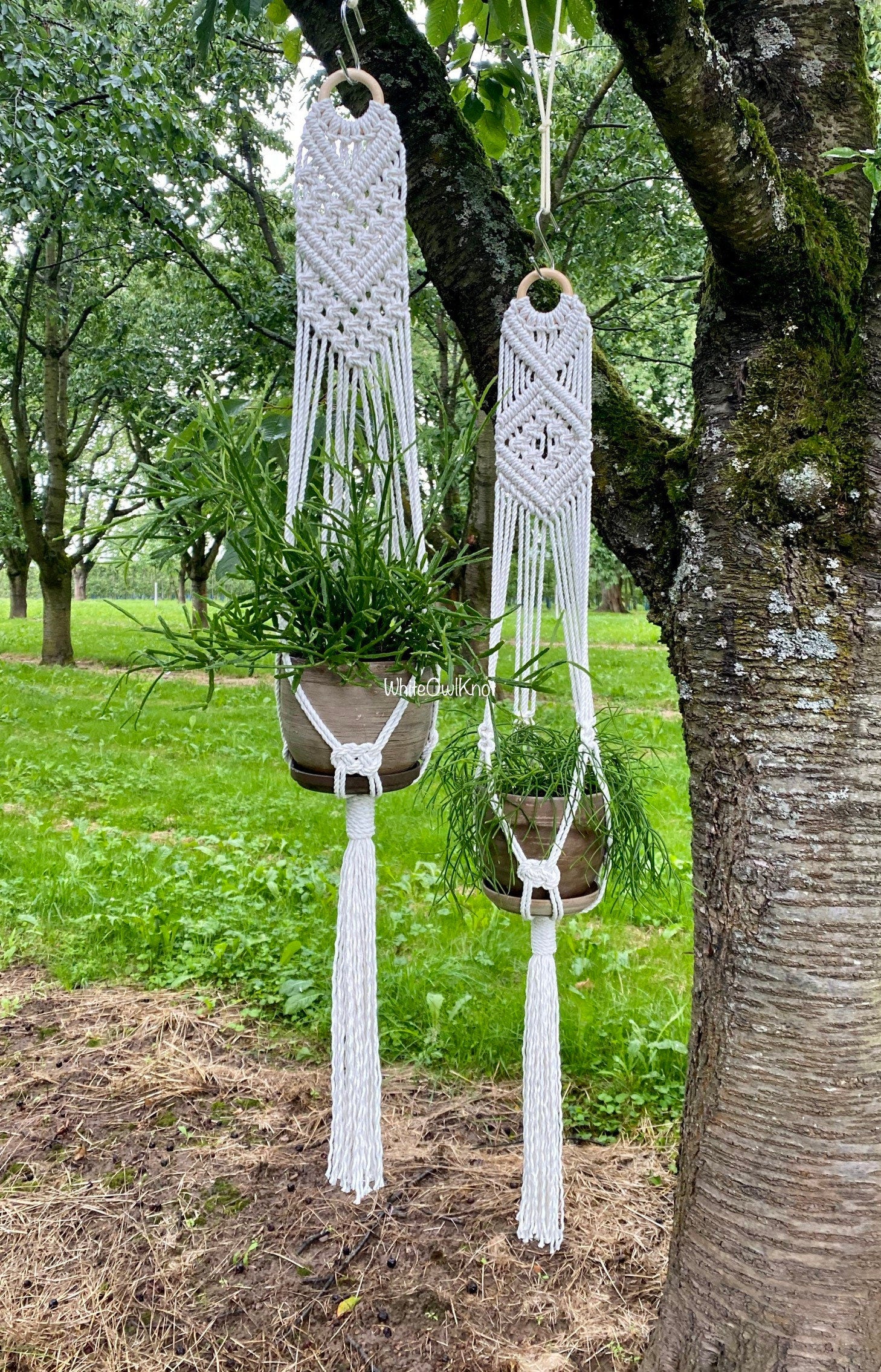 Two macrame plant hangers hanging from a tree with a natural outdoor setting.