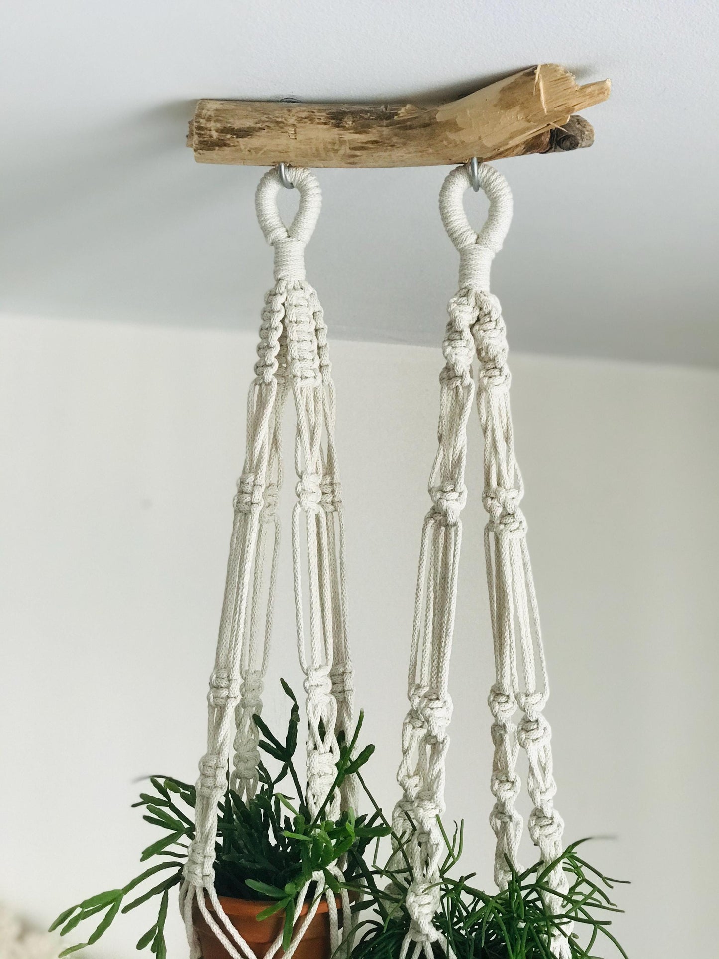 Macrame plant hanger with a wooden hook on a white wall