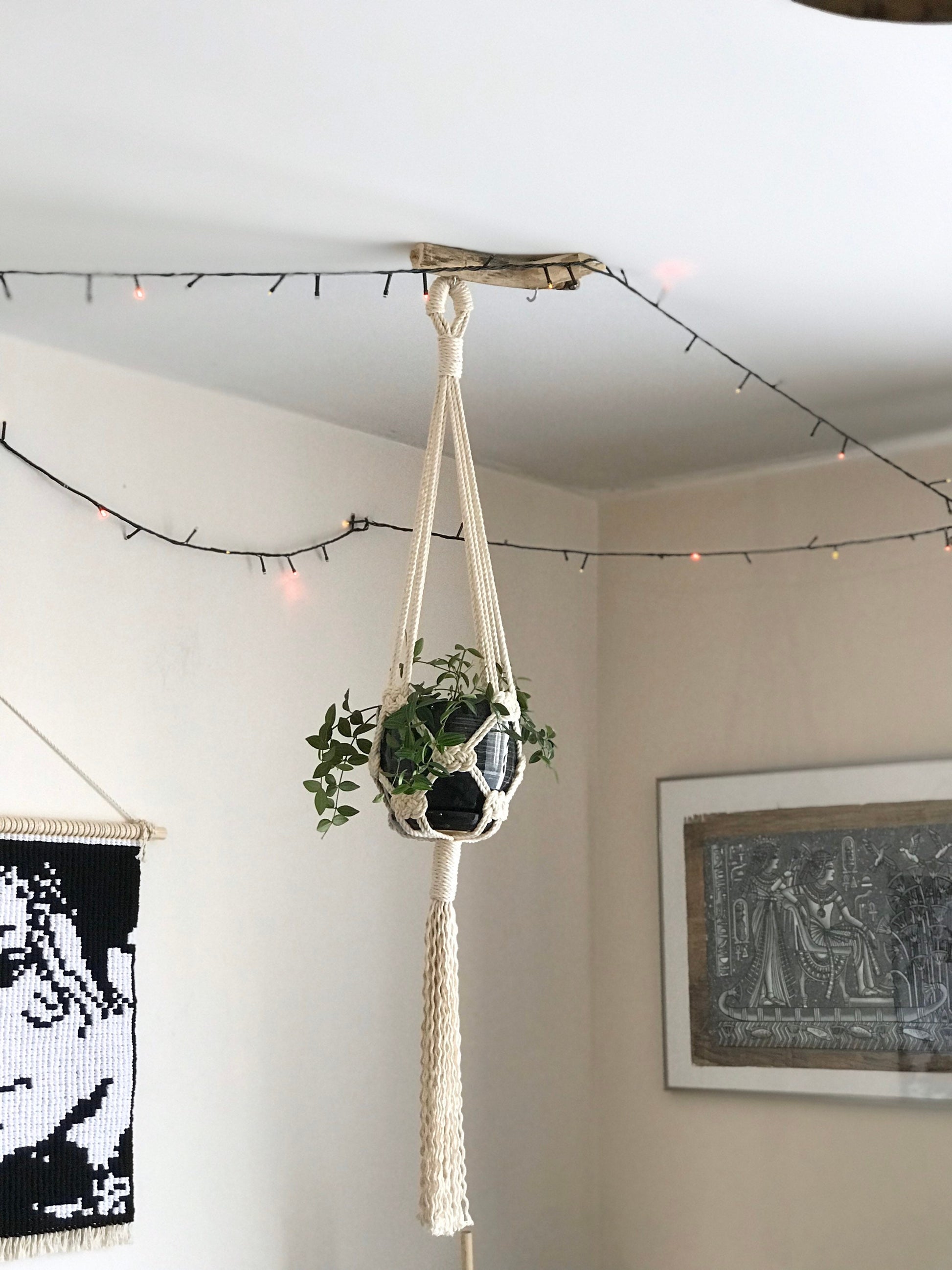 Macrame plant hanger with a plant hanging from it in a room with string lights and framed pictures.