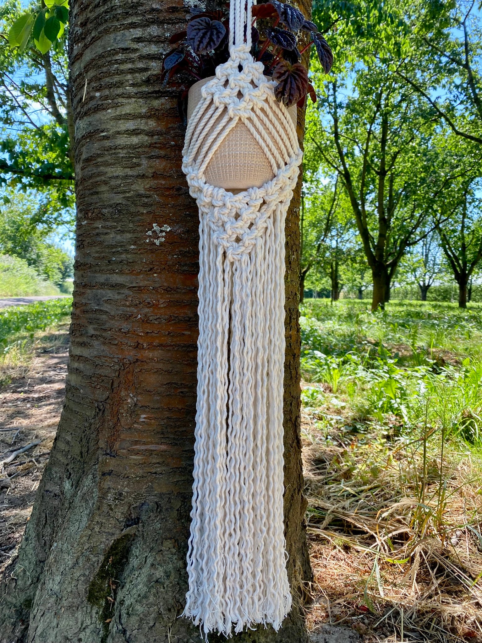Macrame hanging decor attached to a tree in an outdoor setting