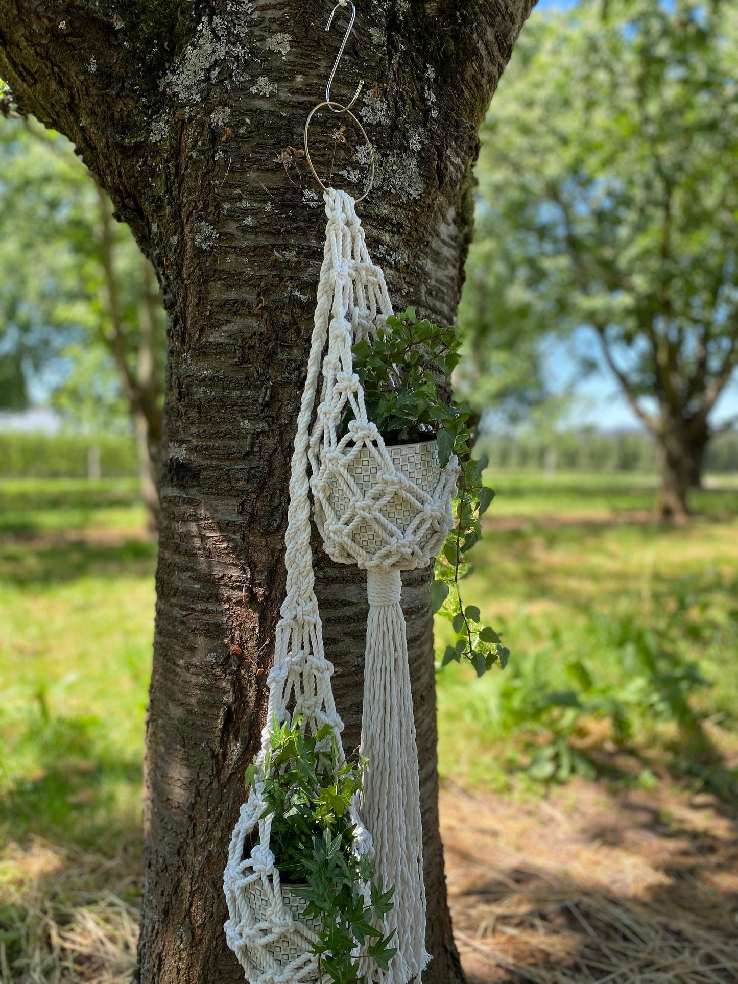 Double Macrame Plant Hanger Pattern PDF – Vertical Two-Pot Design