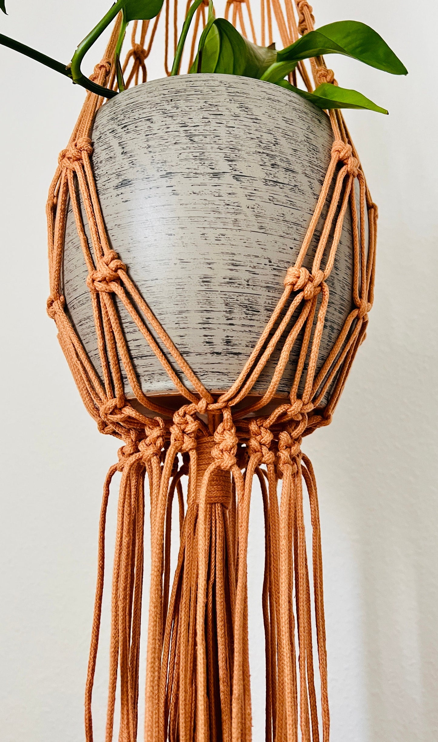 Macrame plant hanger with a pot and plant against a white background