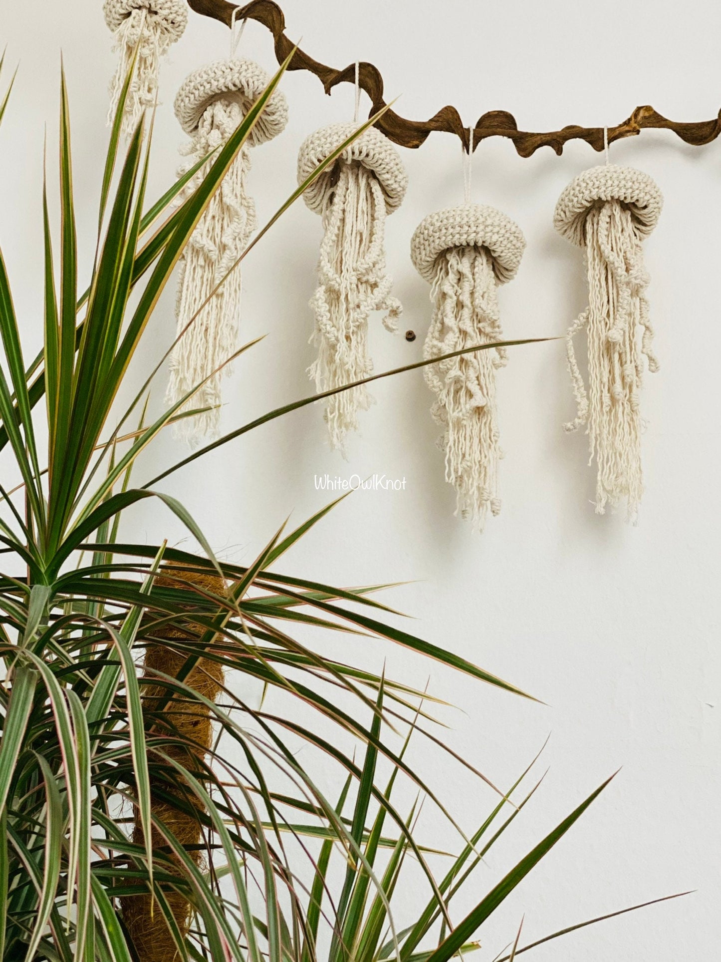 Macrame wall hanging with natural fibers on a white wall, featuring a plant in the foreground.