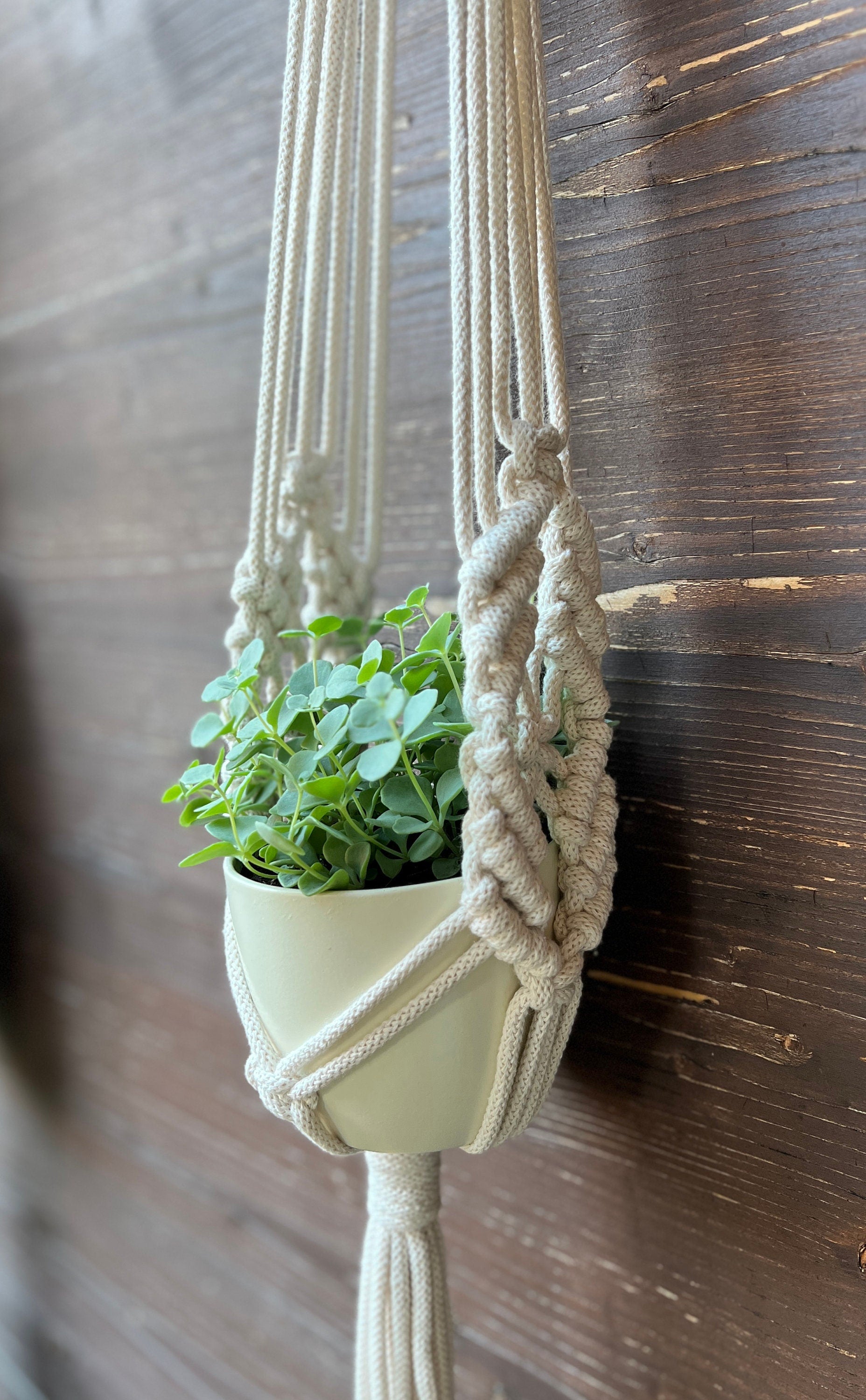 Macrame plant hanger with a green plant in a white pot against a wooden background