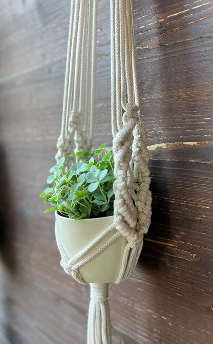 Macrame plant hanger with a green plant in a white pot against a wooden background