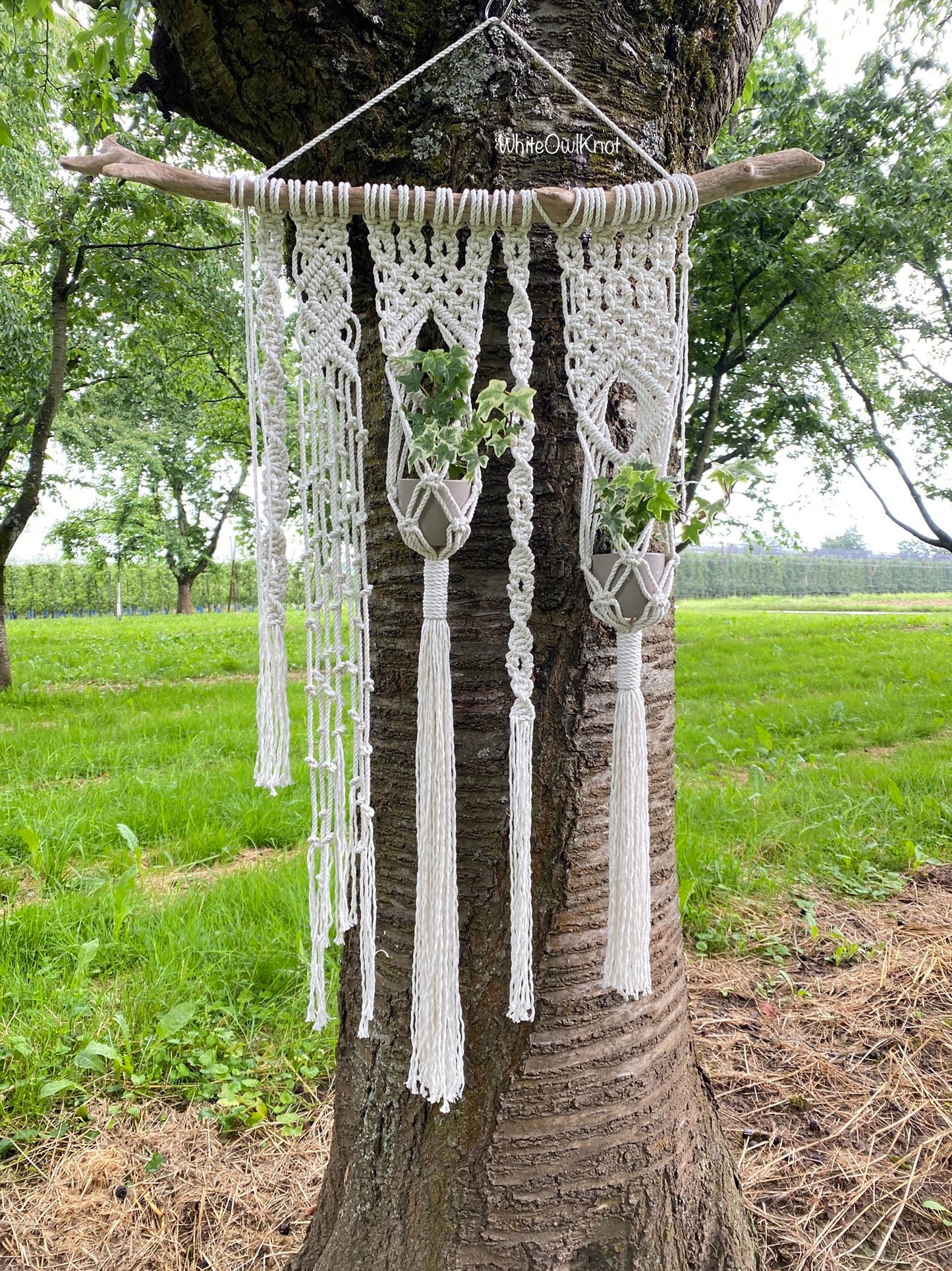 Double Wall Planter Macrame Pattern for Beginners