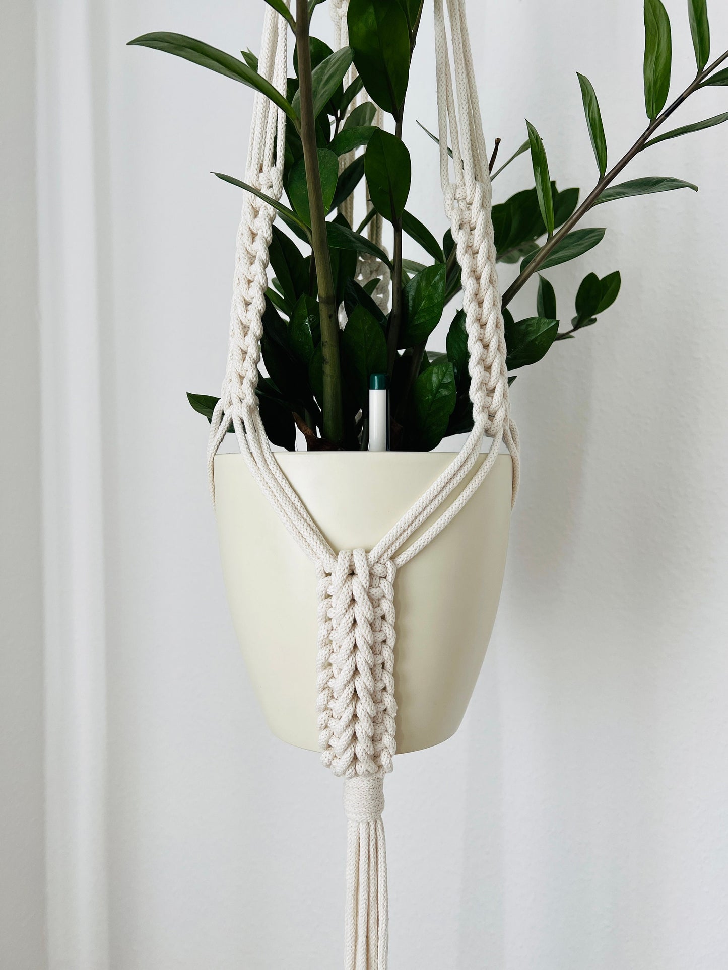Macrame plant hanger with a pot of green plant against a white background