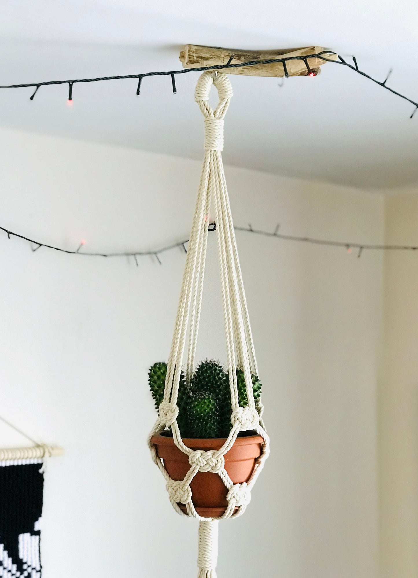 4 Makramee-Pflanzenampel DIY Anleitungen - Verwandeln Sie Terrasse und Balkon mit eklektischer Dekoration. Sofortige digitale Downloads. Geschenkidee für Pflanzenliebhaber