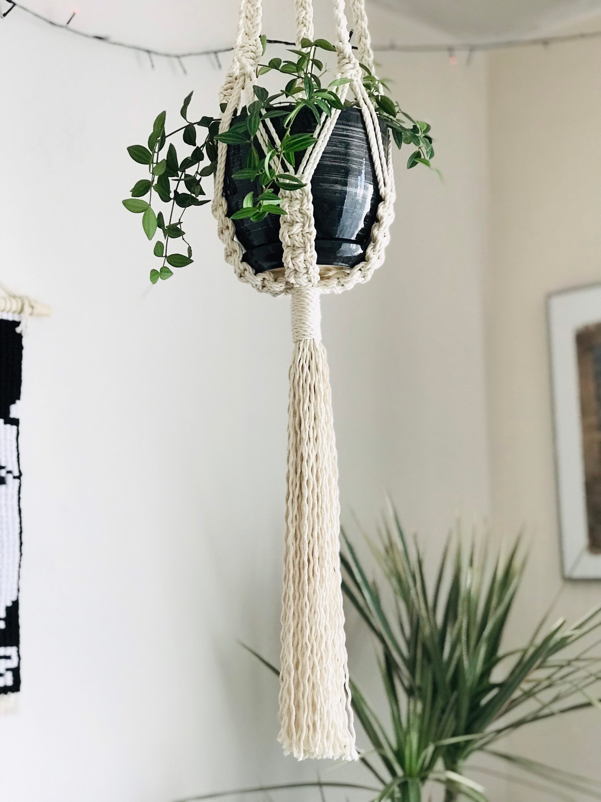 Macrame plant hanger with a plant against a neutral wall.
