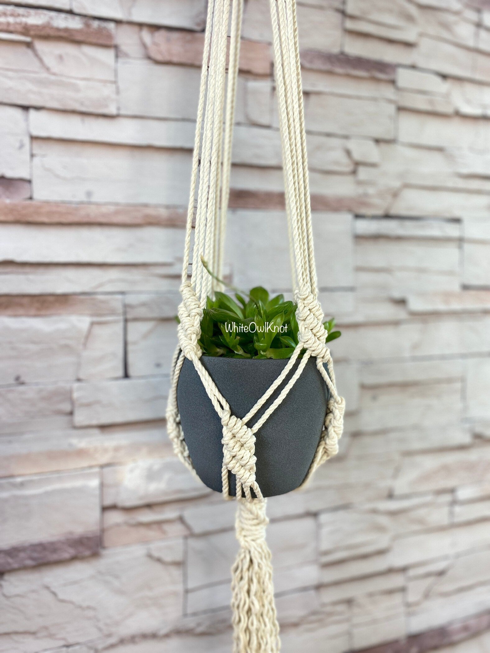 Macrame plant hanger with a dark pot against a wooden wall.