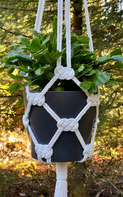 Macrame plant hanger with a potted plant against a natural background