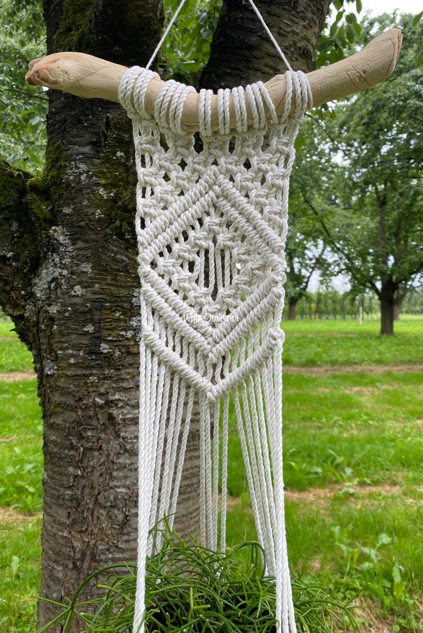 Macrame wall hanging on a tree branch outdoors