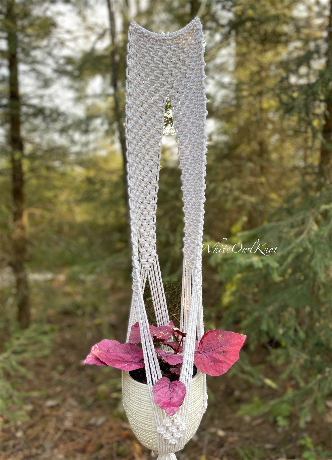 Macrame plant hanger with a plant against a forest background