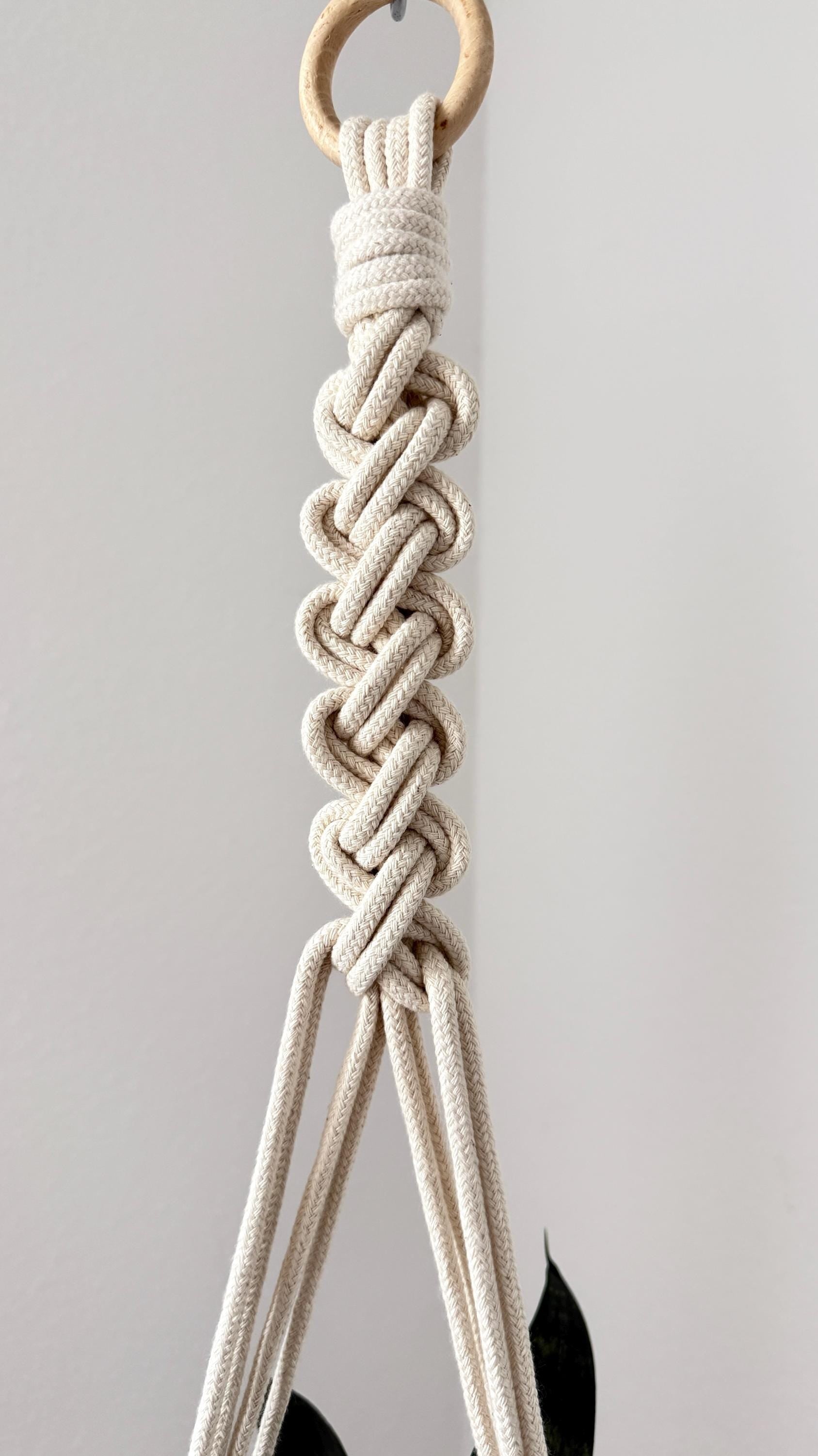 Macrame plant hanger with a wooden ring on a light gray background