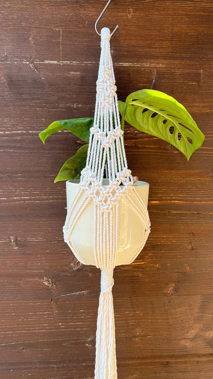 Macrame plant hanger with a plant on a wooden background