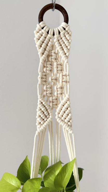 Macrame plant hanger with wooden hook on a gray background