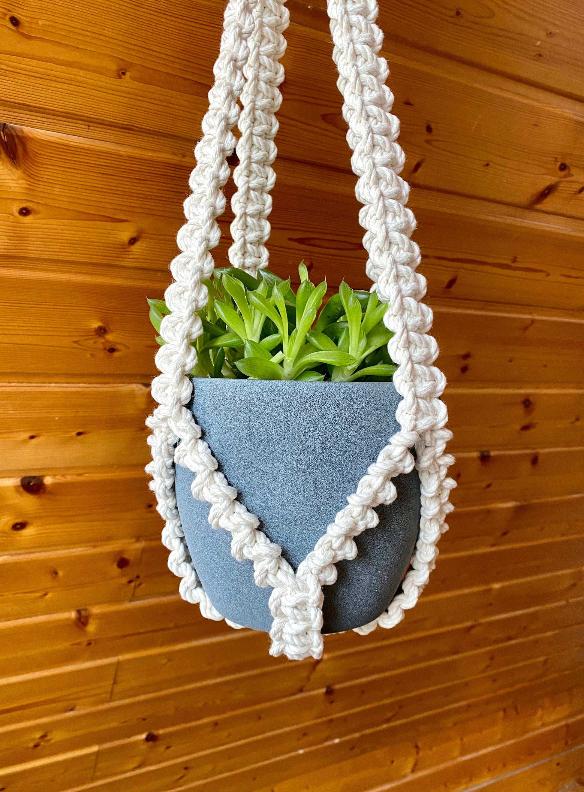 Macrame plant hanger with a blue pot and green plant against a wooden background