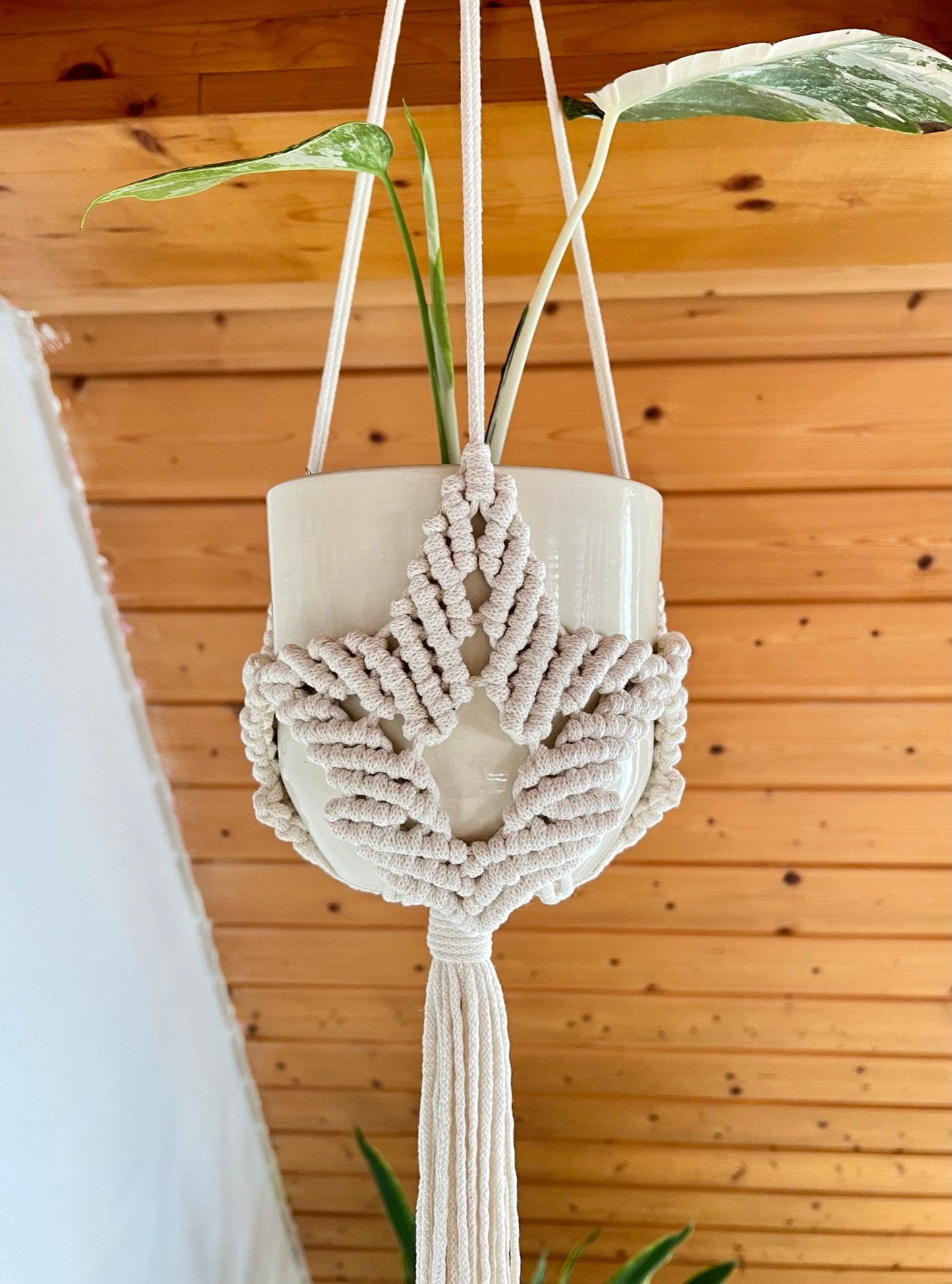 Macrame plant hanger with a pot against a wooden wall