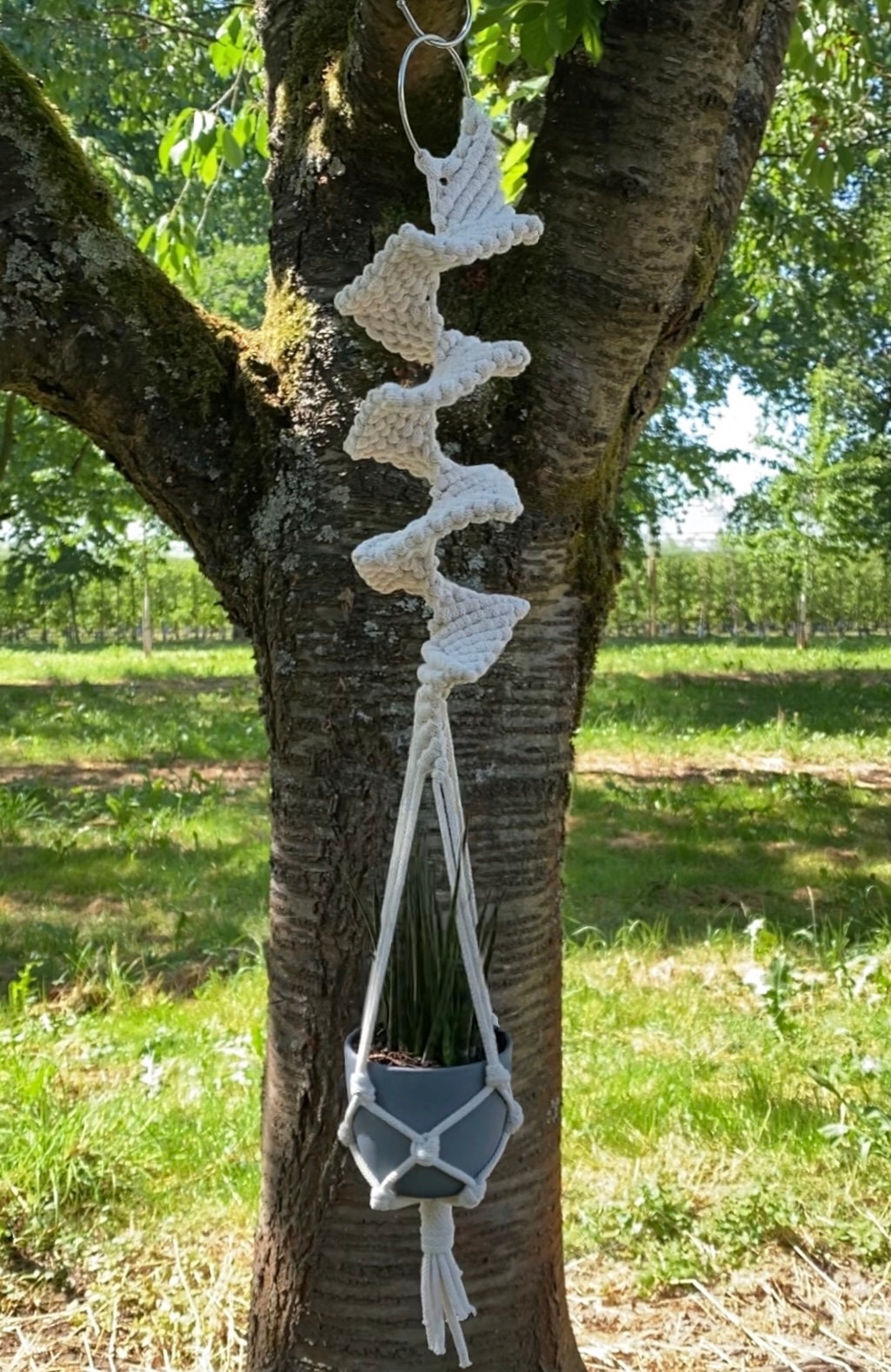 Macrame plant hanger hanging from a tree in an outdoor setting