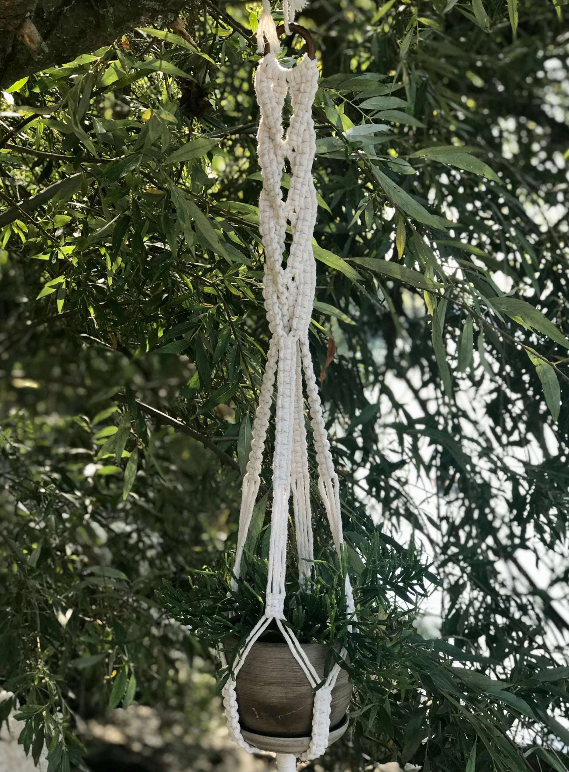 Macrame plant hanger with a pot hanging from a tree