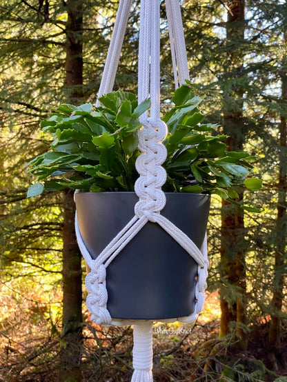 Macrame plant hanger with a pot of green plant against a forest background