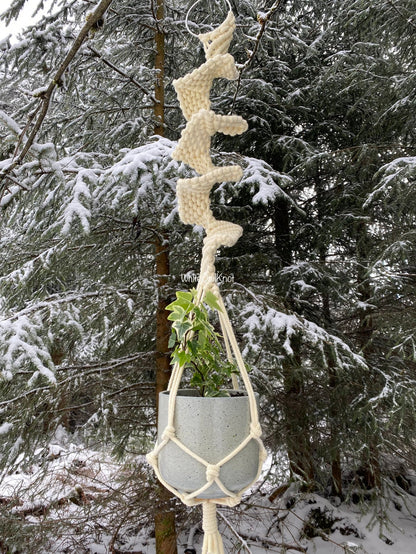 Macrame plant hanger with a pot of plants against a snowy forest background