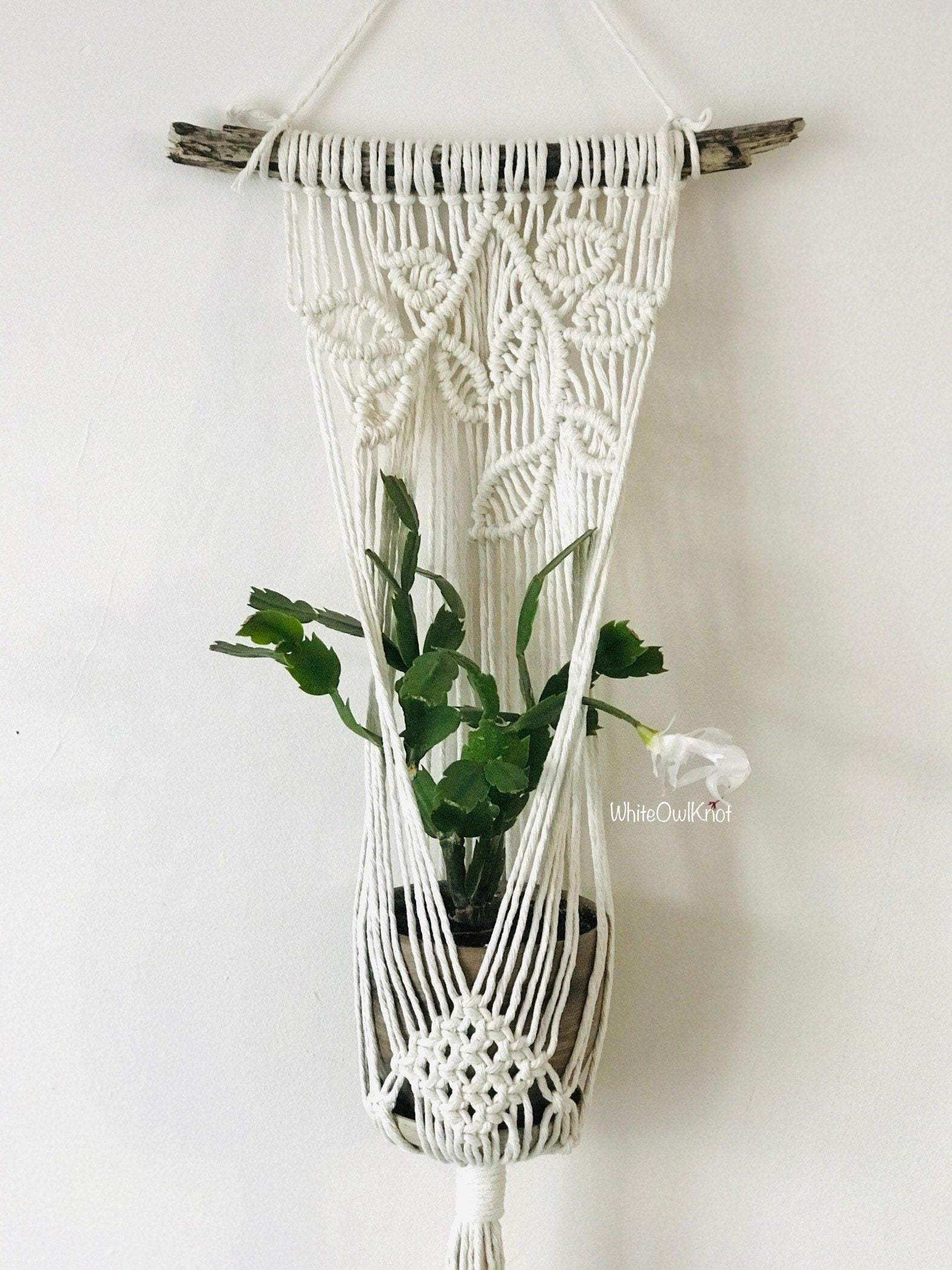 Macrame wall hanging with plant holder on a white background