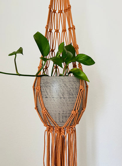 Macrame plant hanger with a pot and plant against a white background