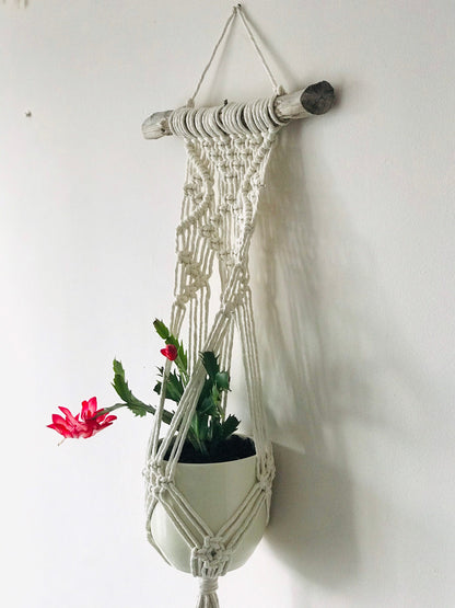 Macrame plant hanger with a small plant against a white wall