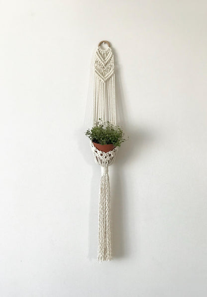 Macrame plant hanger with a plant on a white wall