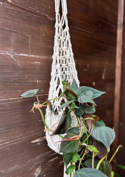 Nest Macramé Plant Hanger Pattern, DIY Instructions
