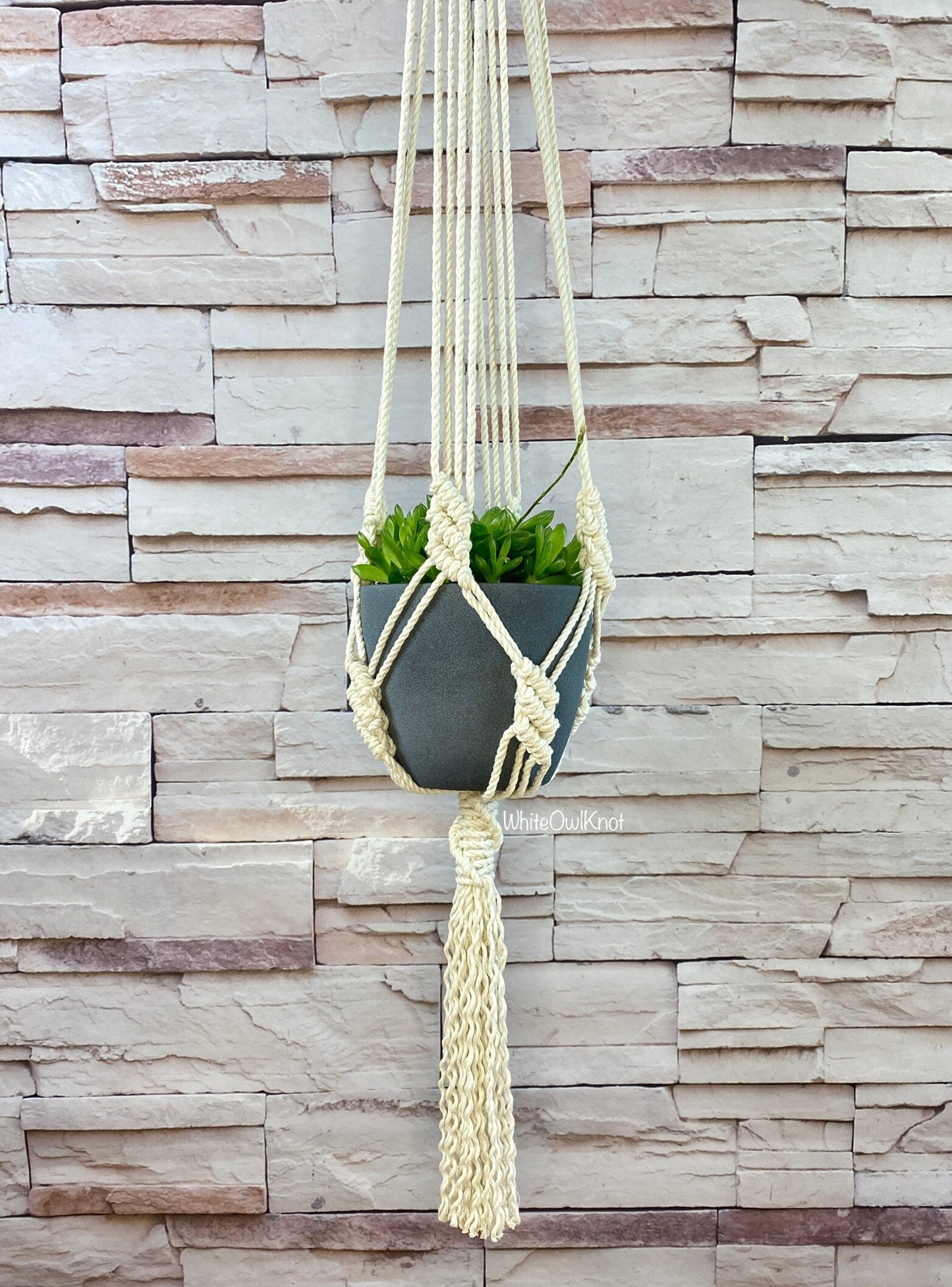 Macrame plant hanger with a pot of green plants against a stone wall.