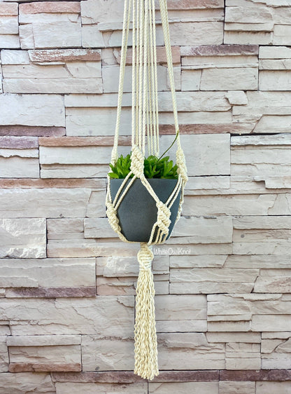 Macrame plant hanger with a pot of green plants against a stone wall.