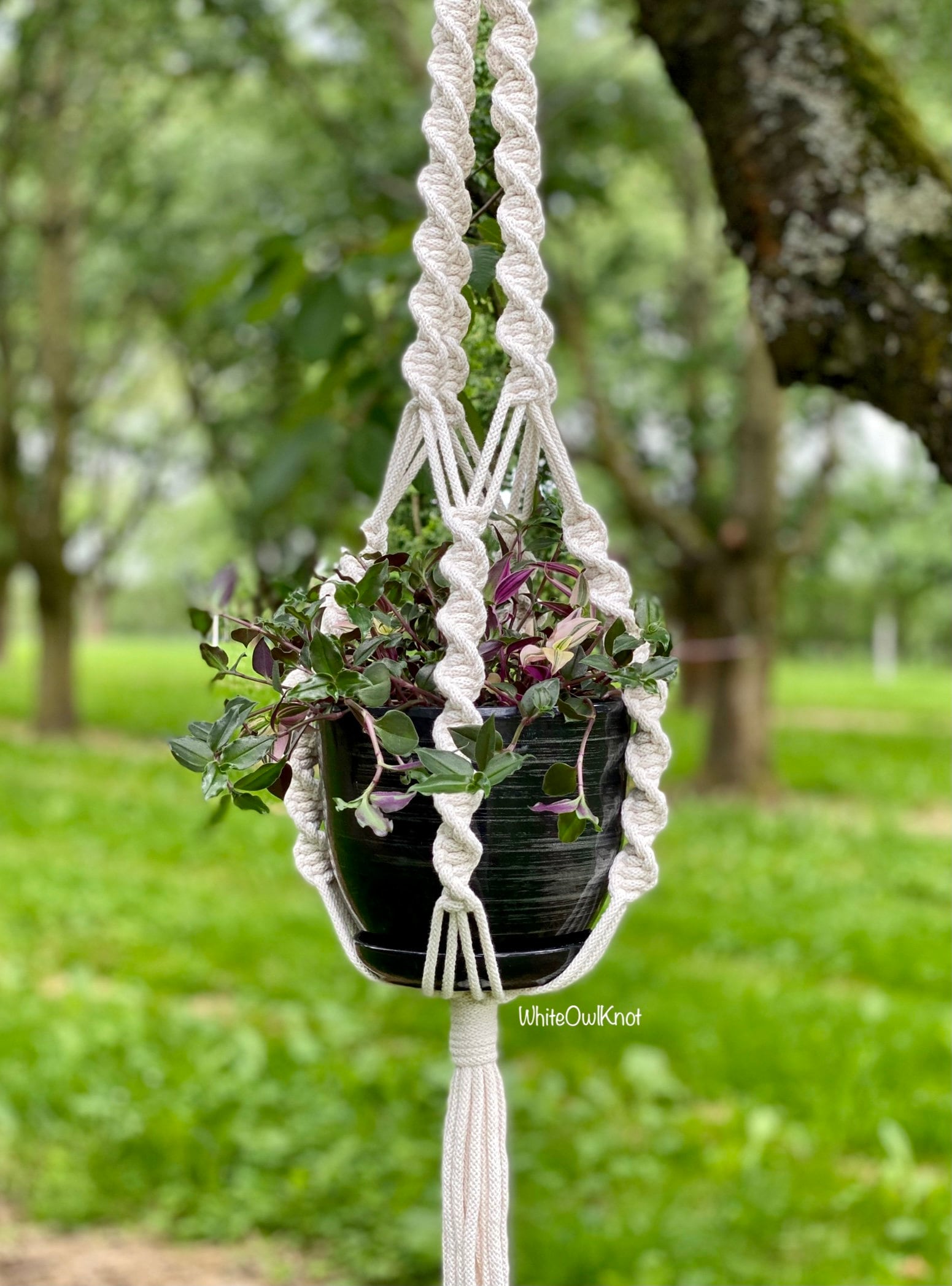 Macrame plant hanger with a pot of plants hanging outdoors.