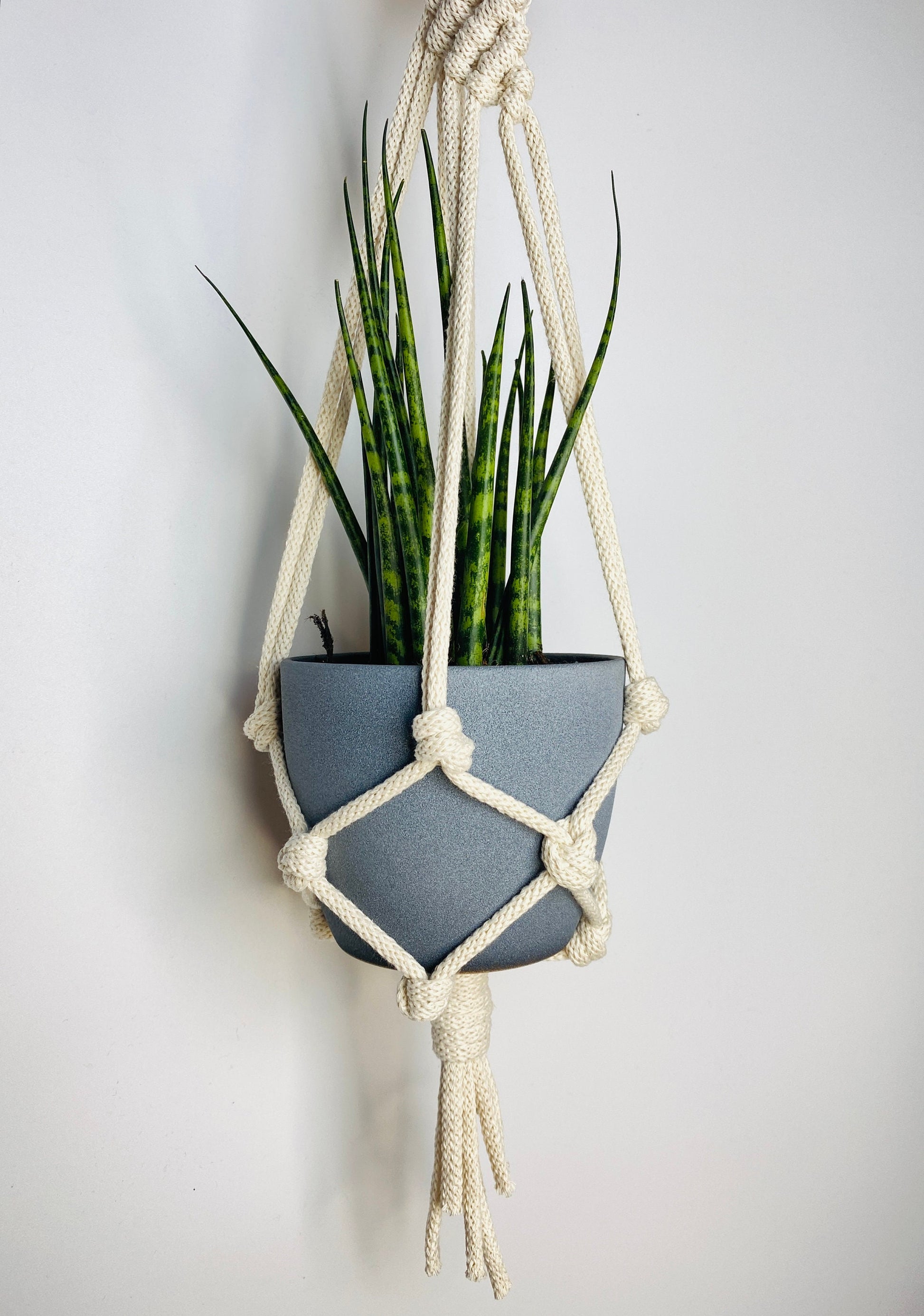 Macrame plant hanger with a snake plant against a white wall