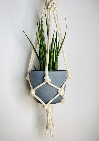 Macrame plant hanger with a snake plant against a white wall