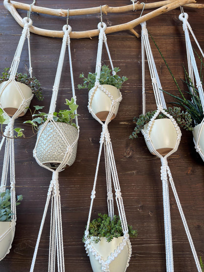 Macrame plant hangers with pots on a wooden wall
