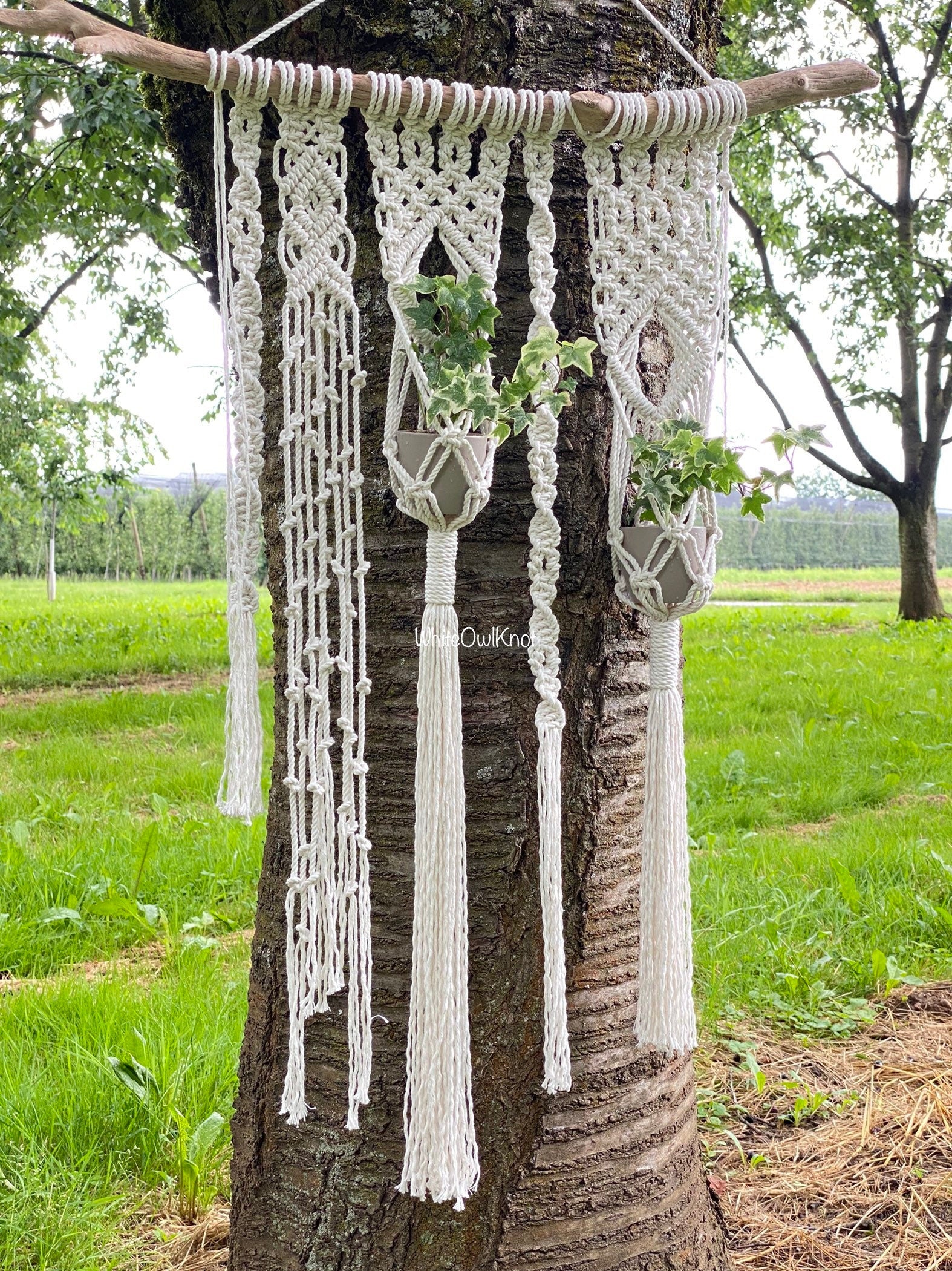 Macrame plant hangers hanging from a tree with a natural outdoor background.