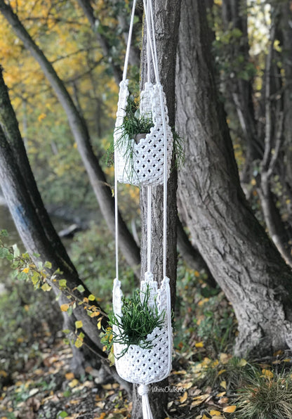 Macrame plant hanger with plants hanging from a tree in a forest setting