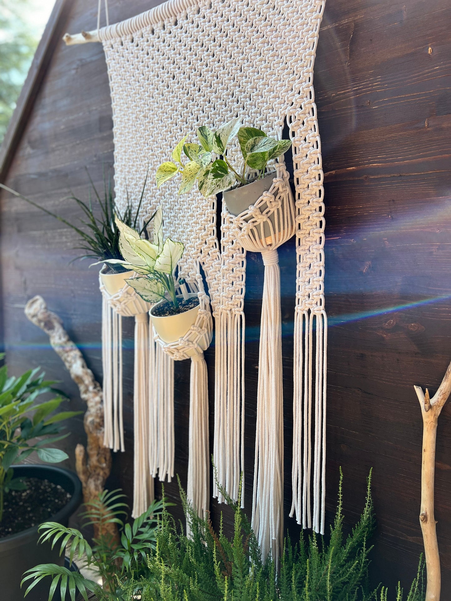 Macrame plant hanger with hanging plants against a wooden wall.