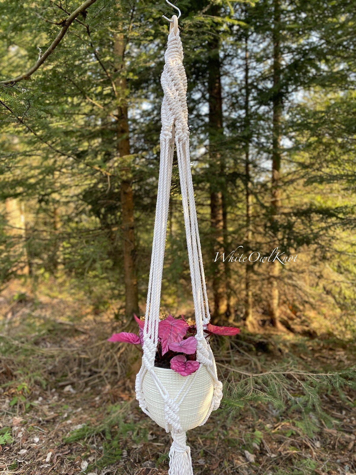 Macrame plant hanger with a pink flower in a forest setting
