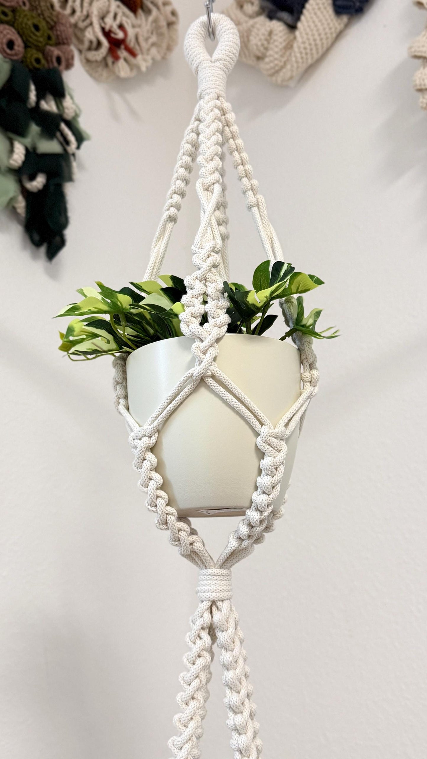 Macrame plant hanger with a white pot and green plant on a light gray background