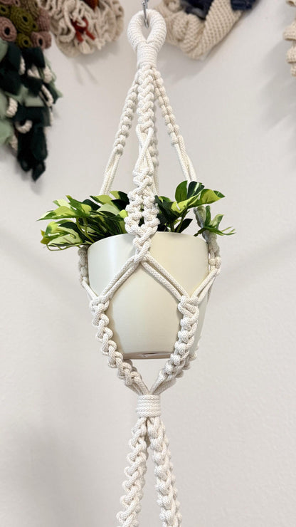 Macrame plant hanger with a white pot and green plant on a light gray background